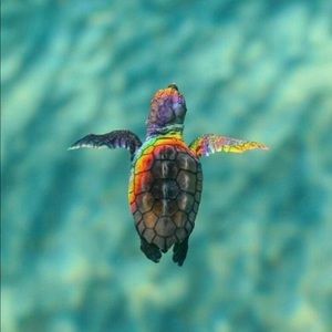 Meet your Posher, Jeanette